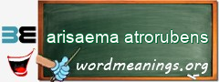 WordMeaning blackboard for arisaema atrorubens